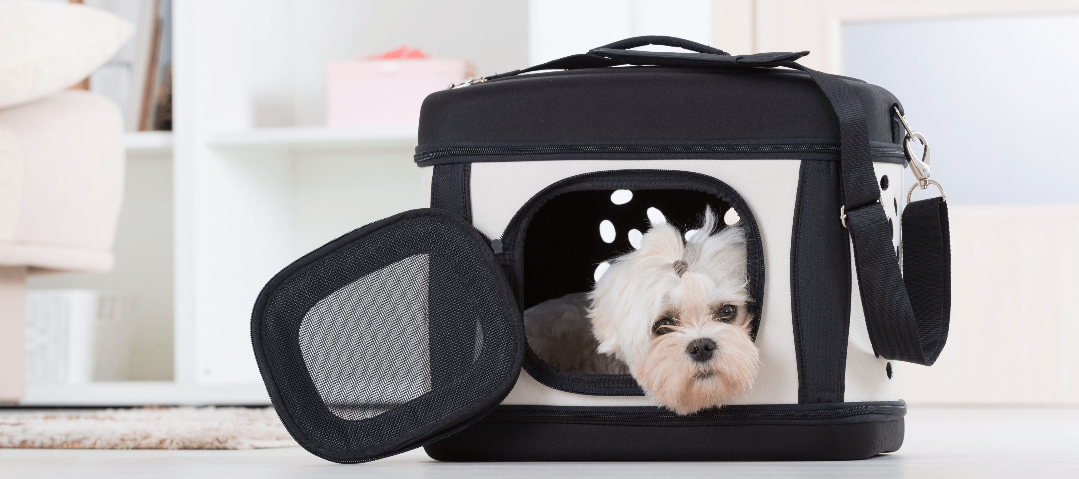 Petboda Hunde-Auto-Barriere für SUV, Kofferraum, faltbar, verstellbar,  Trennwand und Gepäckgitter, um Hunde im Rücken zu halten (Patentdesign)